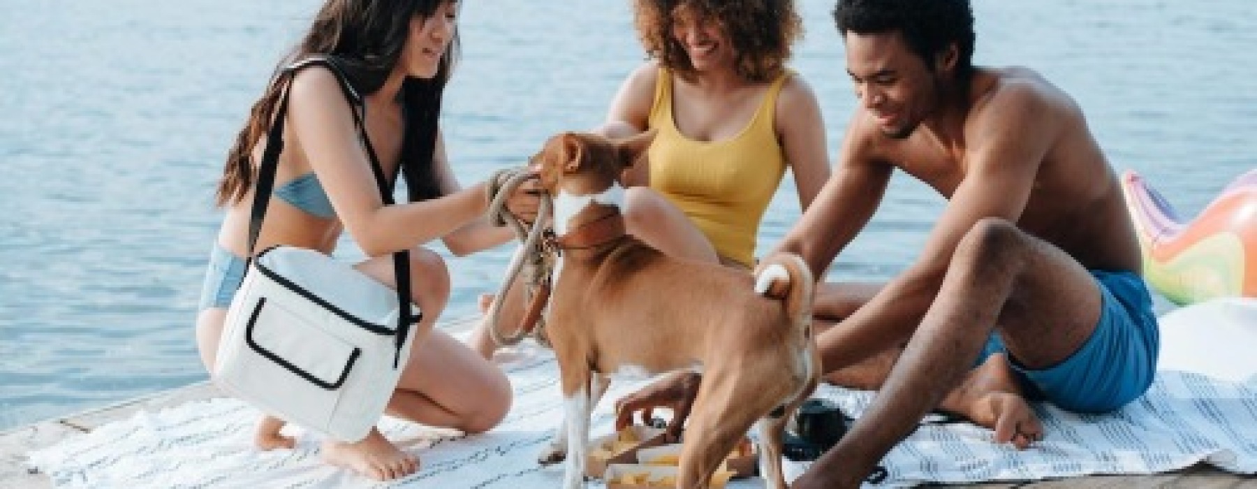 a group of people and a dog on a dock by a lake