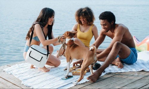 a group of people and a dog on a dock by a lake