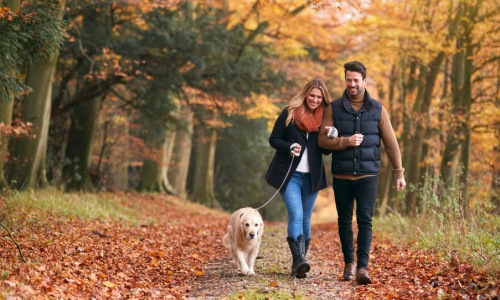 a couple walking their dog down a path