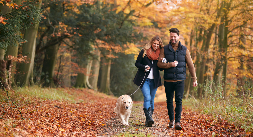 woman and man walking with their golden retriever at a park during fall