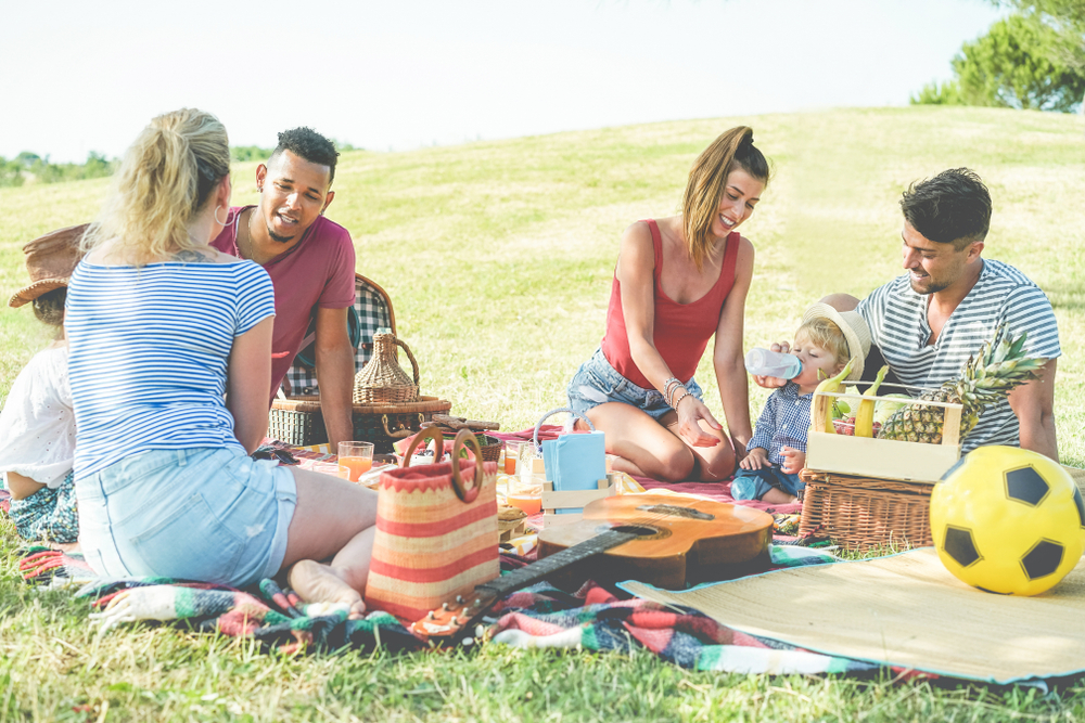 happy families doing a picnic outdoors