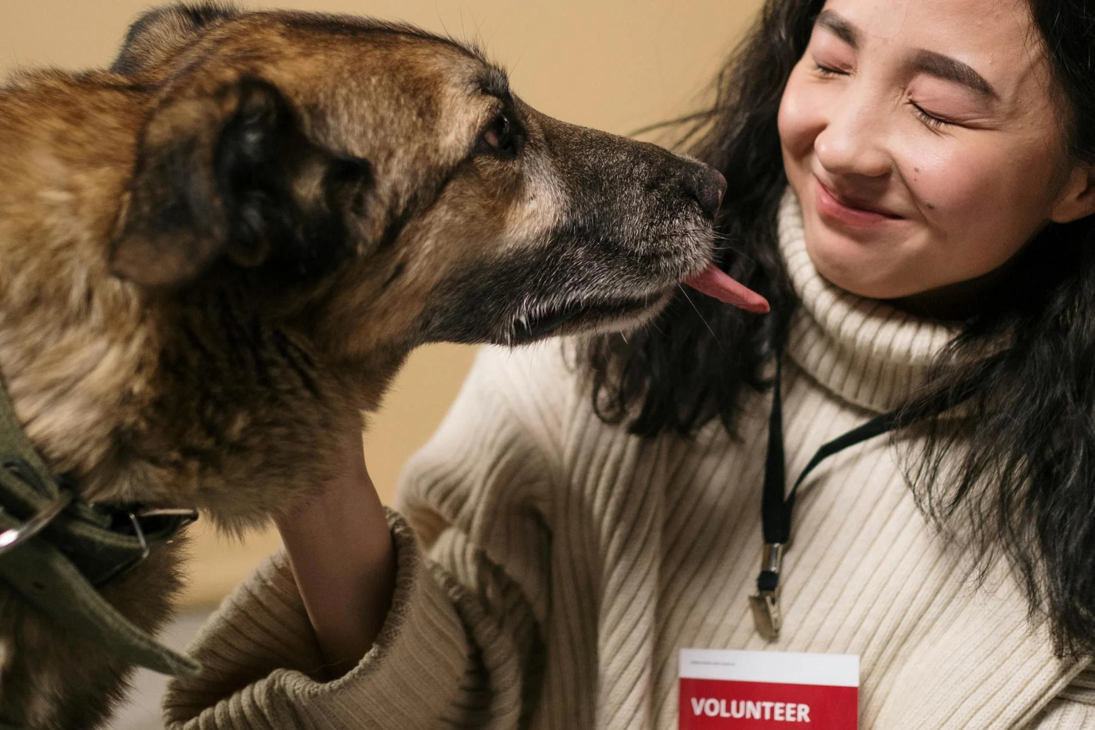 Woman volunteering with a shelter dog.